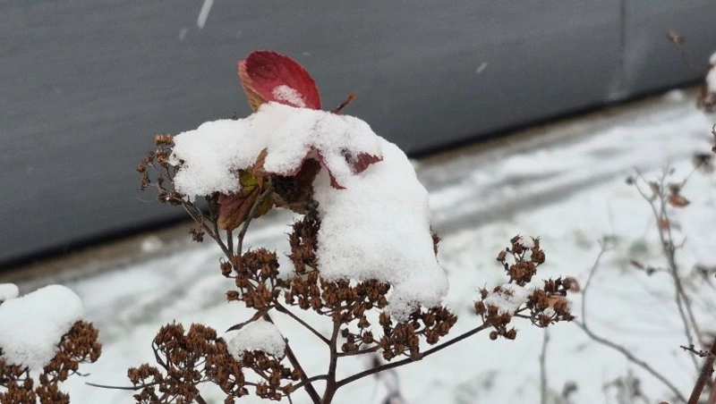 Снег на Сахалине и сильные осадки на Курилах: прогноз погоды на 8 декабря