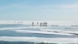 Уплывших на льдине рыбаков спасли сотрудники МЧС