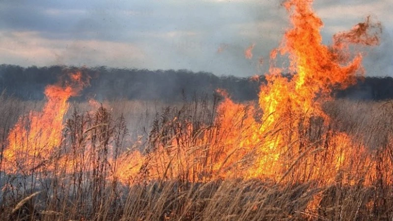 Заброшенные постройки и трава на площади 400 квадратных метров сгорели в Углегорском районе