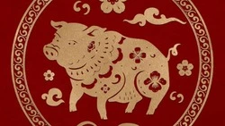Китайский гороскоп на ноябрь 2025 года: месяц огненной свиньи