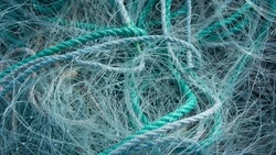 Браконьер из Холмского района заработал уголовку за девять хвостов кеты