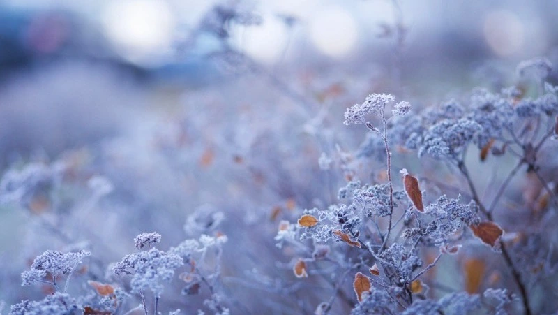 Мороз до -35 градусов и ветер на Курилах прогнозируют в Сахалинской области 14 февраля