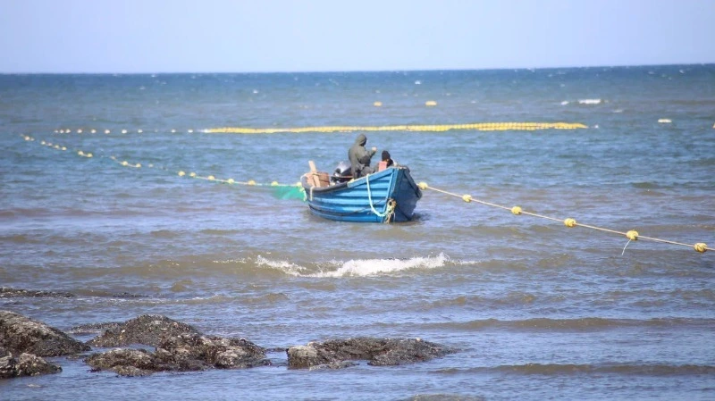 Из-за курса доллара за год экспорт краба с Дальнего Востока в Японию вырос на 70 процентов