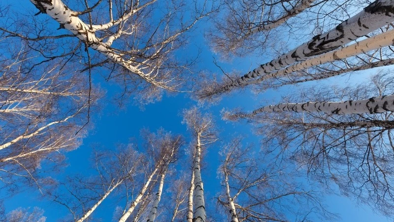 Народные приметы на 6 марта 2024: что нельзя делать в этот день