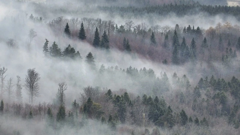 Тучи идут на Сахалин, Курилы ждут новый снегопад. Прогноз погоды на 1 марта