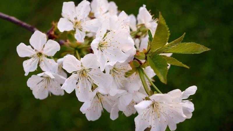 Церковный праздник 16 мая 2023: что нельзя делать в этот день, приметы