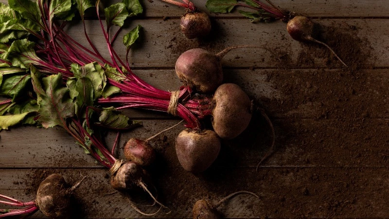 Приметы обо всем на 1 сентября 2023 года: что можно и нельзя делать в этот день