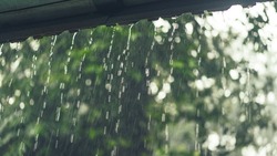 Дождь и похолодание придут на Сахалин и Курилы: прогноз погоды на 11 июля