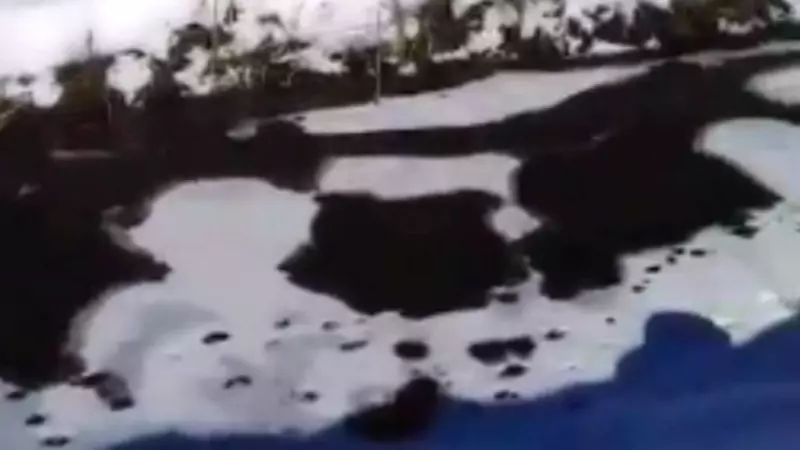 Сахалинцы попросили природоохранного прокурора разобраться с кучей навоза у рек