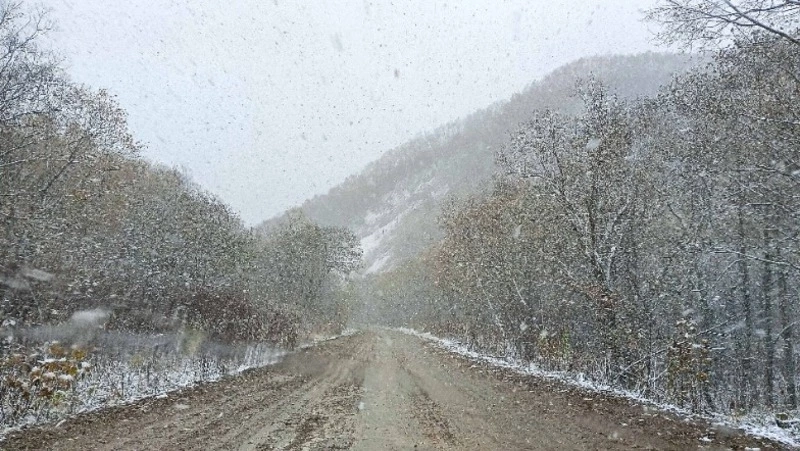 Жителей Анивского района предупредили о надвигающихся осадках