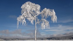 Мороз до -49 градусов накроет север Сахалинской области ночью 17 января