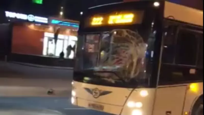 В Южно-Сахалинске во время ДТП у пассажирского автобуса разбилось лобовое стекло