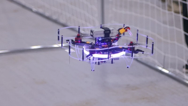 Крылатая революция на краю света