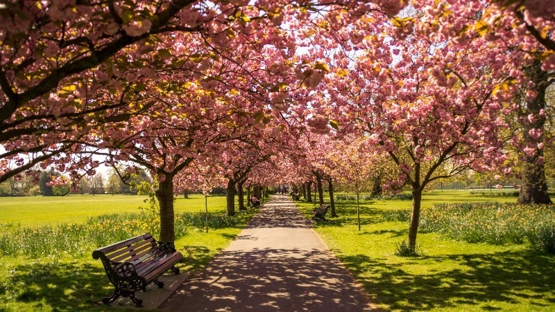 Стильное и современное общественное пространство построят в Березняках