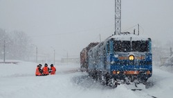 Пригородные поезда на Сахалине отменили из-за снежного циклона