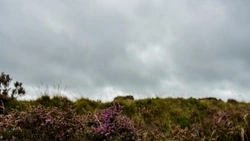 Потеплеет до +23 градусов: синоптики уточнили прогноз погоды в Сахалинской области на 30 августа 