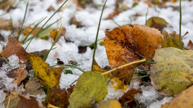 Морозы до -9 градусов придут на Сахалин в понедельник