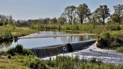 Сахалинскому совхозу «Тепличный» вчинили иск из-за негативного действия на центральное водоотведение