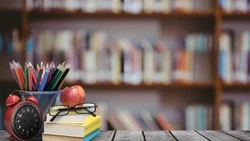 Школы Анивского района переведут на дистанционное обучение из-за циклона