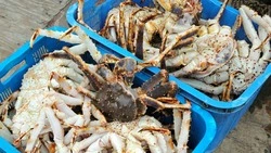 «Монерон» заключенного крабового короля отбился от уплаты 2 млн убытков из-за срыва поставки в Корею