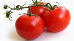 К 8 марта в сахалинских магазинах появятся помидоры с итальянским акцентом