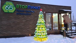 Более 1,5 тонны вторсырья сдали жители Южно-Сахалинска за новогодние каникулы