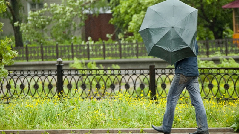 Почти 100 мм осадков выпало за ночь на юге Сахалина