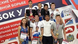 Сахалинцы завоевали девять медалей Всероссийских соревнований по спортивной борьбе
