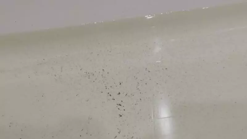 В Чистый четверг жители пригорода Южно-Сахалинска окунулись в зловонную жижу