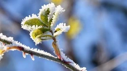 Потепление до +4 градусов прогнозируют в Южно-Сахалинске 16 марта