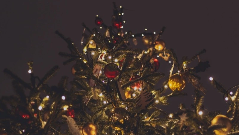 Адреса магазинов с костюмами для детей на Новый год назвали жителям Южно-Сахалинска