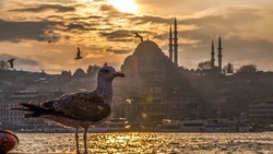 Цены на туры в Турцию за неделю взлетели на 55%