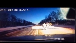 Пьяный водитель без прав около часа уходил от погони трех экипажей ДПС в Тымовском