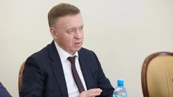 Мэр Надсадин инициировал проверки УК после падения льда на ребенка в Дальнем