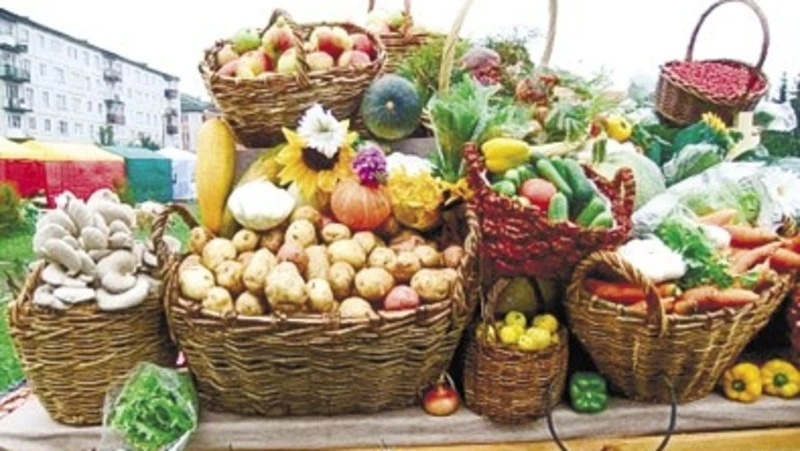 К сведению: «Осенние дары», «Доступность услуг для каждого», «Спорт доступный каждому»