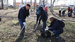 Сахалинская область примет участие во Всероссийском субботнике 25 апреля