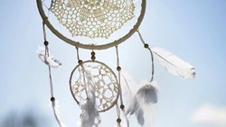 Создателей этнодеревни на Сахалине обвинили в жестоком обращении с животными