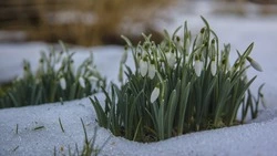 До конца марта в Южно-Сахалинске потеплеет, но осадки не прекратятся