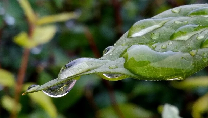 Церковный праздник 24 мая 2025: что нельзя делать в этот день, приметы