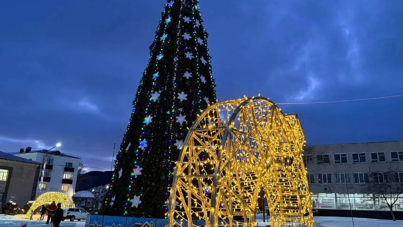 Вместе встретим Новый год!