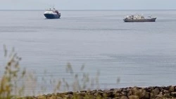 На Сахалине у конфискованного государством «КУК» отсудили 400 тысяч долга в пользу АРСО