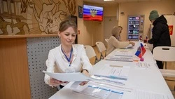 Электоральный юрист подтвердил легитимность выборов губернатора Сахалинской области