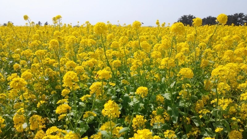 Мобилизованный из Смирных поблагодарил родных и волонтеров за поддержку