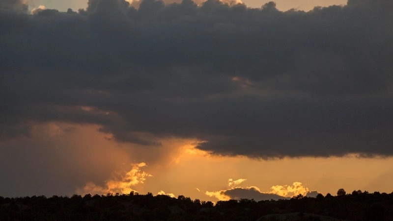 Похолодание на 5 градусов ждет жителей Южно-Сахалинска 11 июня