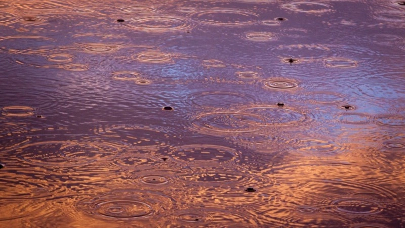 Василий Вишневский назвал причины последствий от дождей и циклонов в Южно-Сахалинске