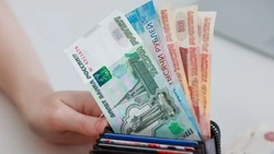 В Госдуму внесли законопроект о запрете на онлайн-выдачу микрозаймов