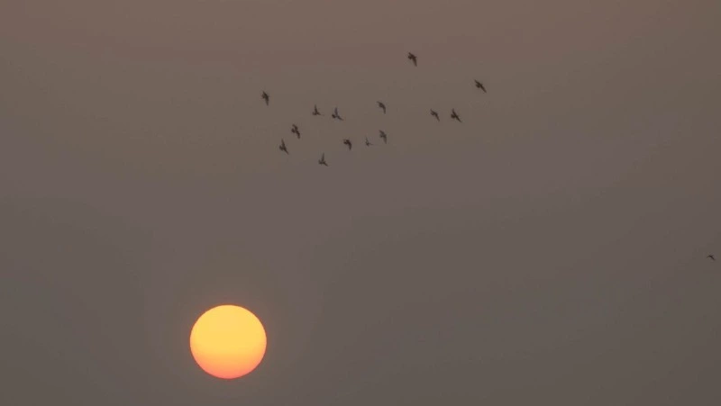 Погода в Южно-Сахалинске на 22 августа: +27 и южный ветер