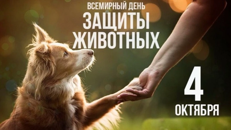 Всемирный день защиты животных 2024: картинки и открытки к празднику