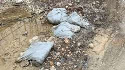 Свалку мусора по дороге к водохранилищу в Южно-Сахалинске ликвидируют до 5 мая 