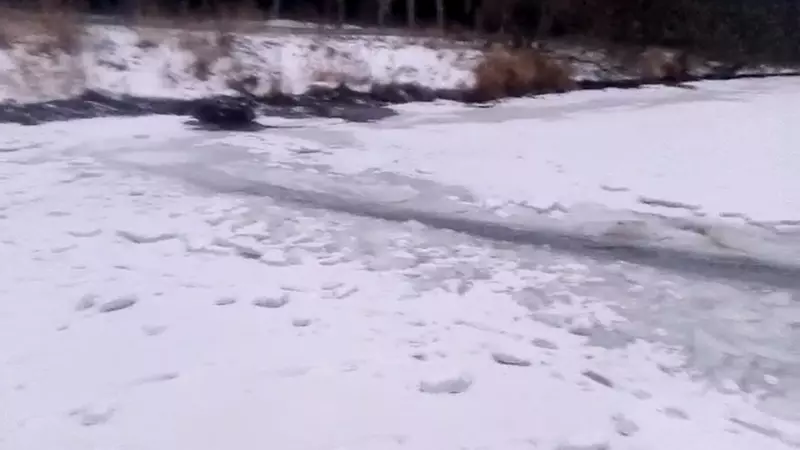 Рыбаки продолжают борьбу с браконьерами, на этот раз под угрозой оказалось озеро Изменчивое